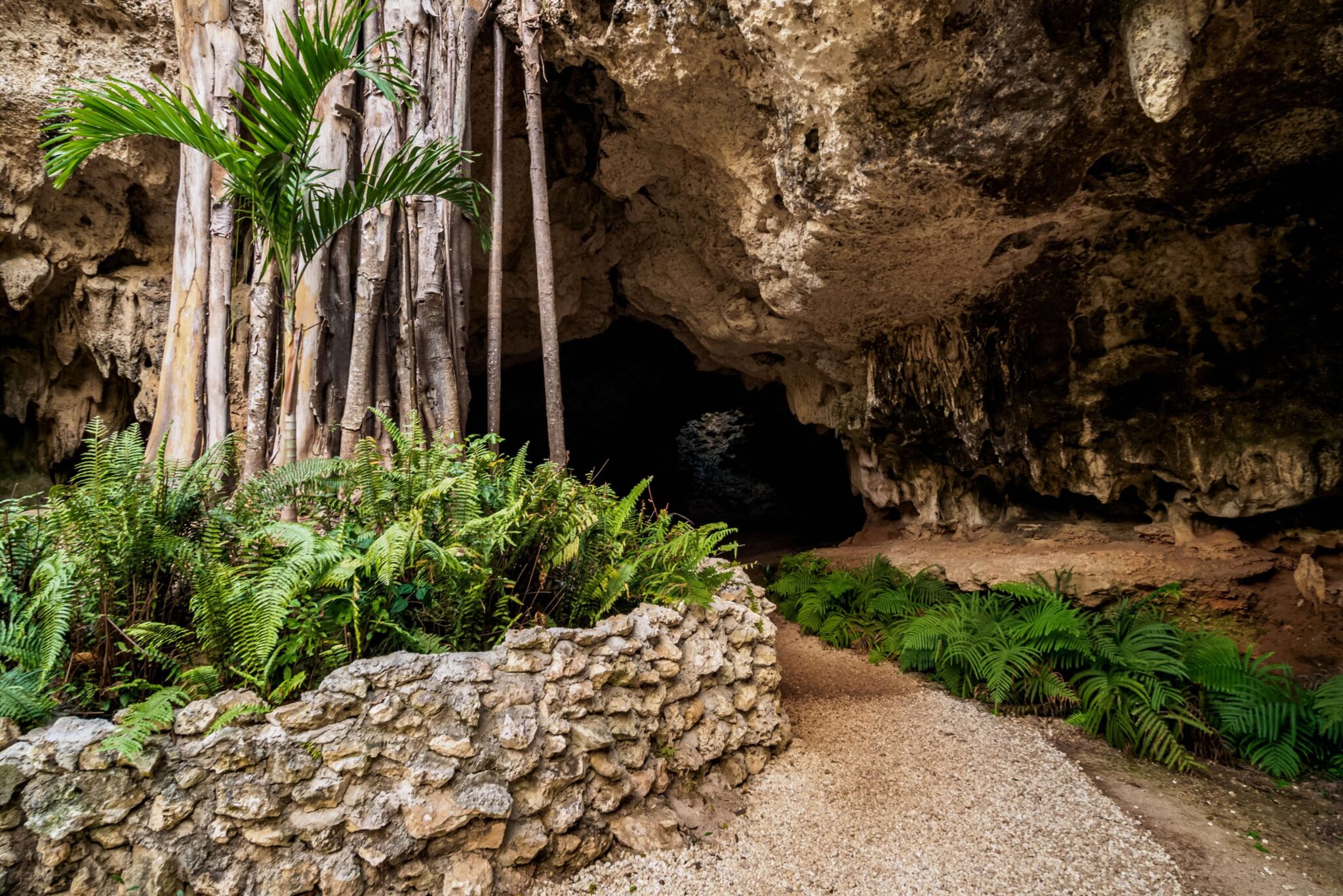 Cave near Rum Point.