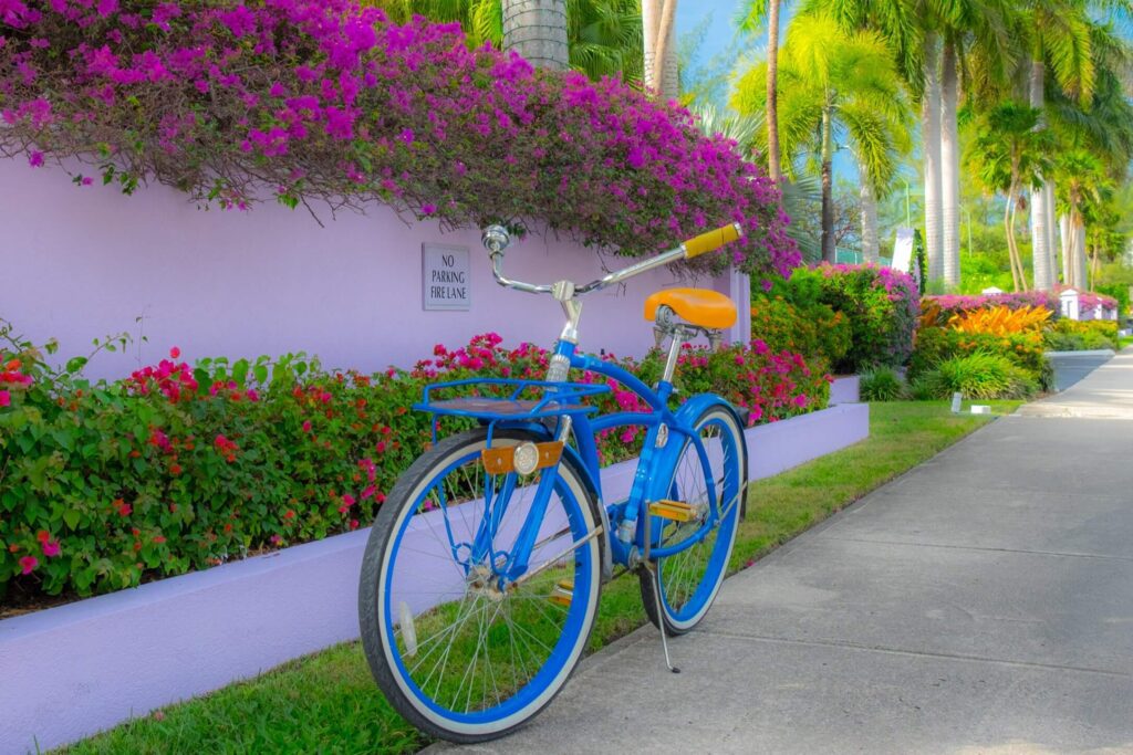 A Bicycle Rental on Grand Cayman.